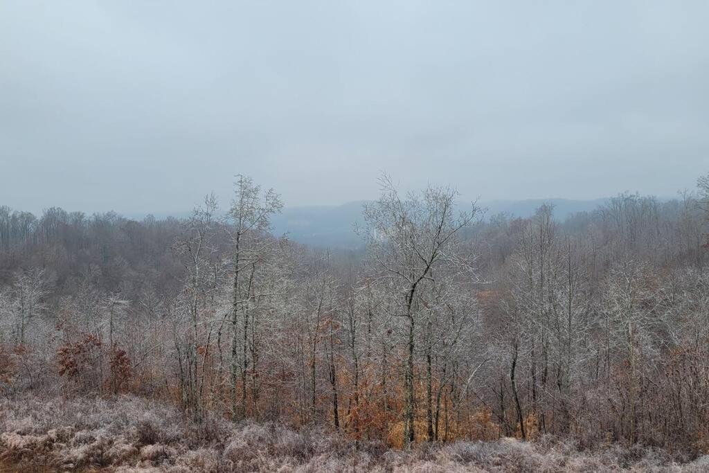 Great Little Guest Suite With Private Entry & Deck! Pet Friendly & 30 Mins To Nashville! Ashland City Dış mekan fotoğraf