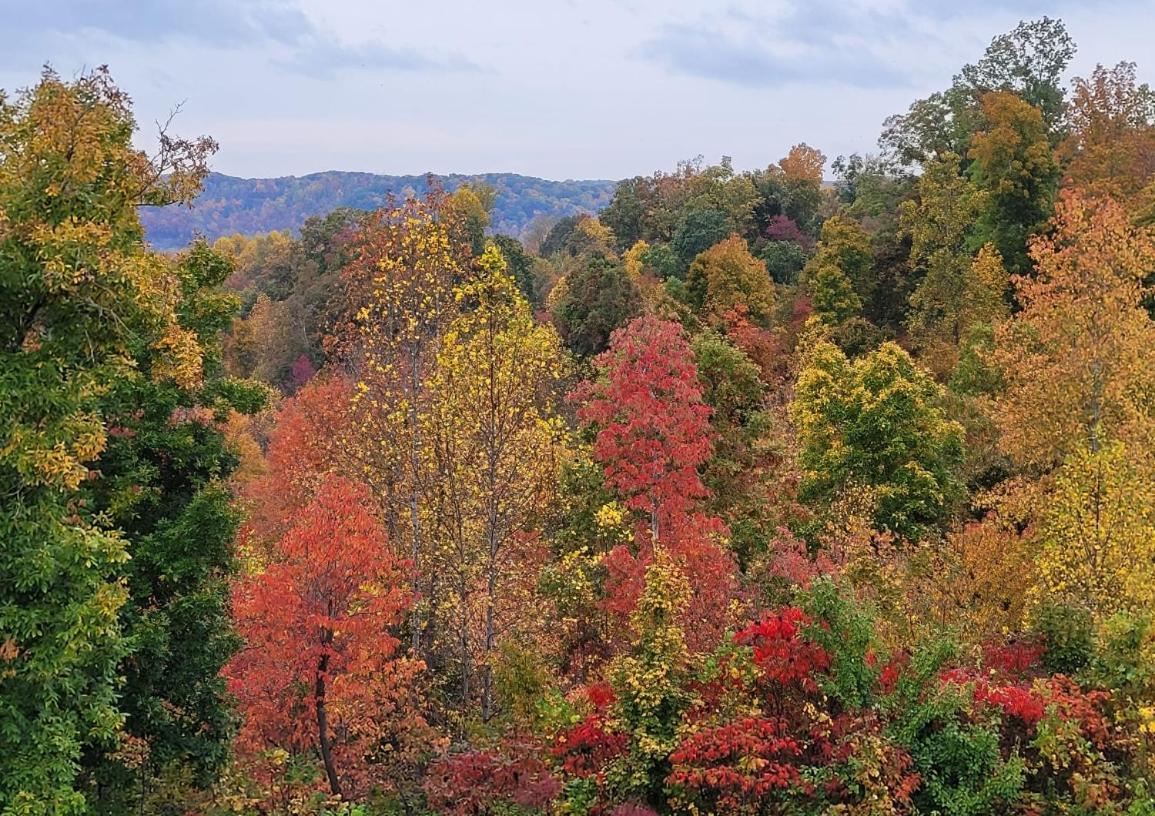 Great Little Guest Suite With Private Entry & Deck! Pet Friendly & 30 Mins To Nashville! Ashland City Dış mekan fotoğraf